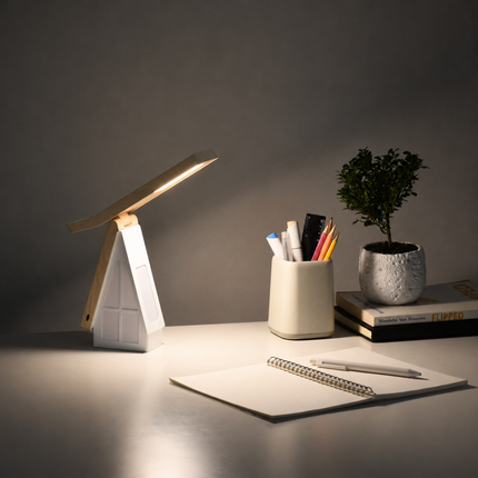 Portable LED Desk Lamp