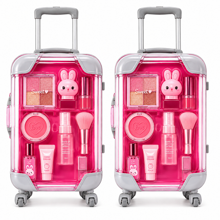 Small Rolling Suitcase Storage Organizer Pack of 2