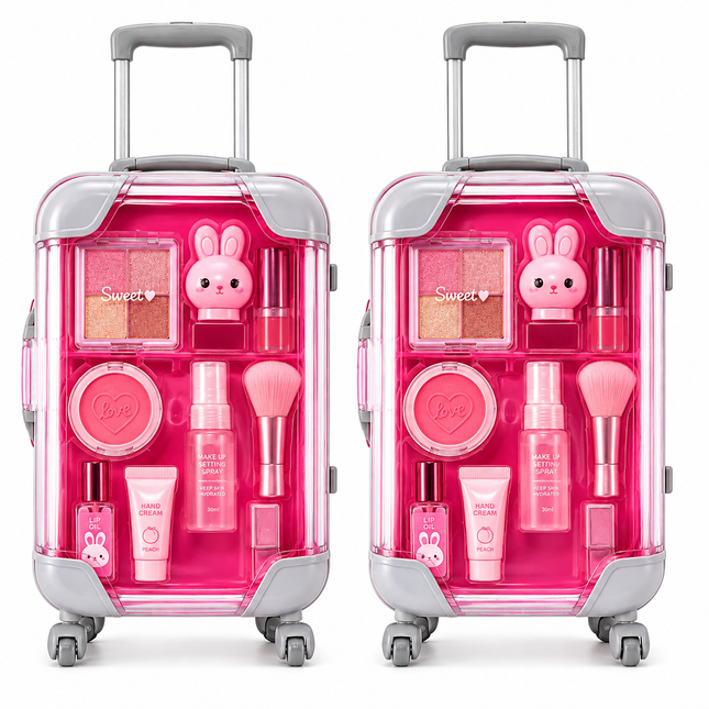 Small Rolling Suitcase Storage Organizer Pack of 2