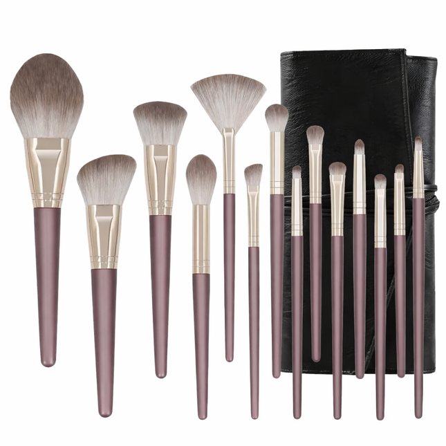 Premium Makeup brushes Pack of 14 with a case