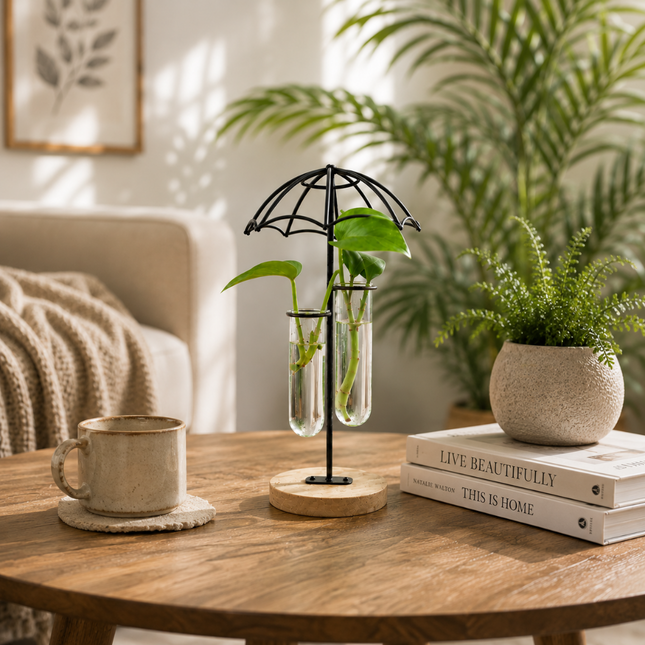 Coslifestore Glass Plant Holder with Wooden Stand(Model B)