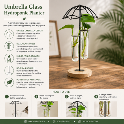 Coslifestore Glass Plant Holder with Wooden Stand(Model B)
